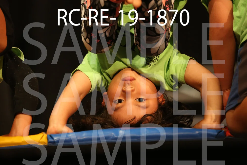 RC-RE-19-1870.jpg
