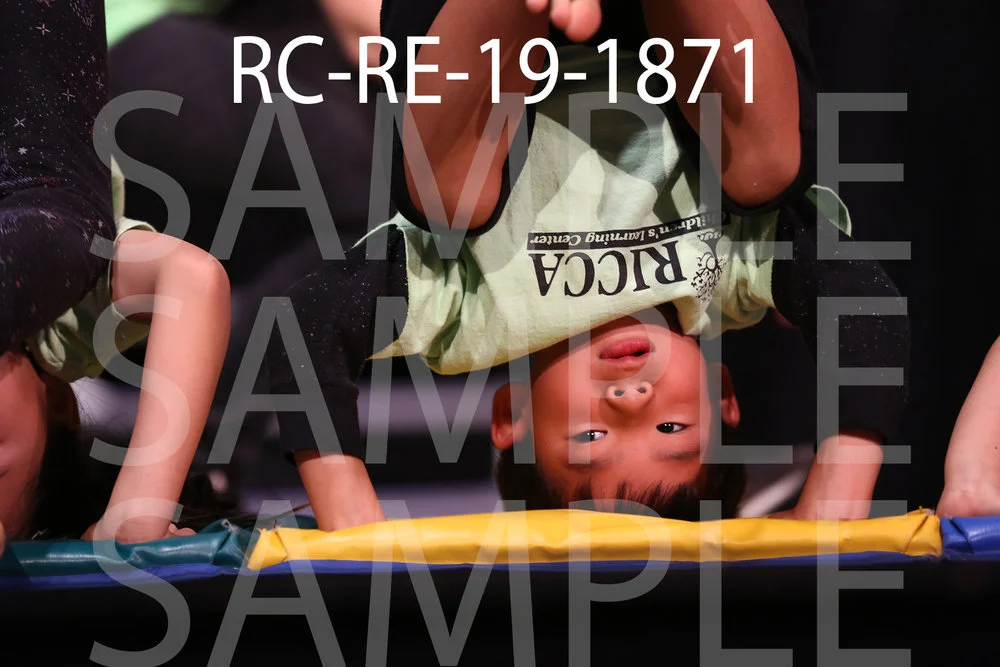 RC-RE-19-1871.jpg