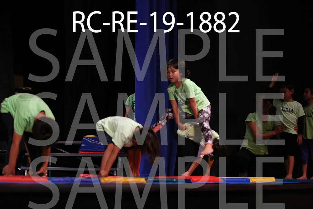 RC-RE-19-1882.jpg