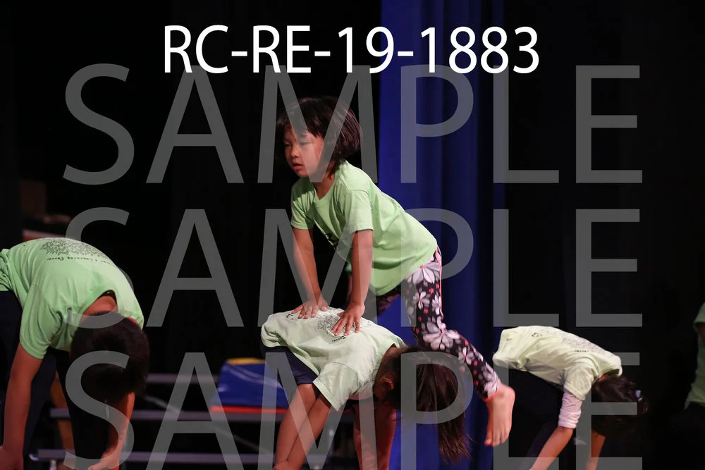 RC-RE-19-1883.jpg