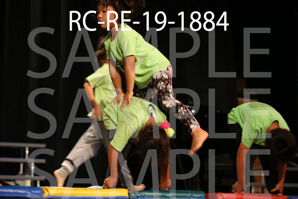 RC-RE-19-1884.jpg
