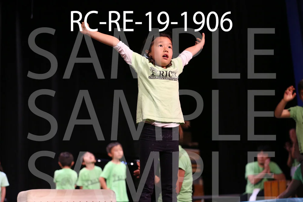 RC-RE-19-1906.jpg