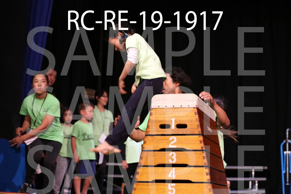 RC-RE-19-1917.jpg