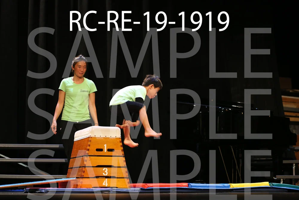 RC-RE-19-1919.jpg