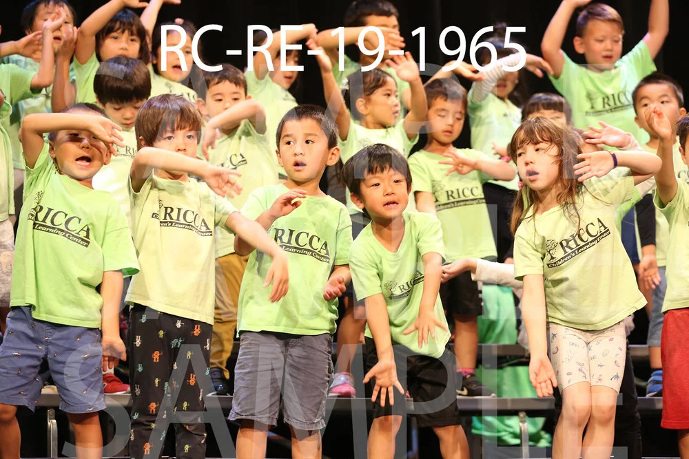 RC-RE-19-1965.jpg
