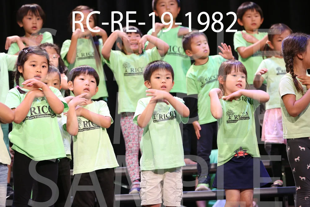 RC-RE-19-1982.jpg
