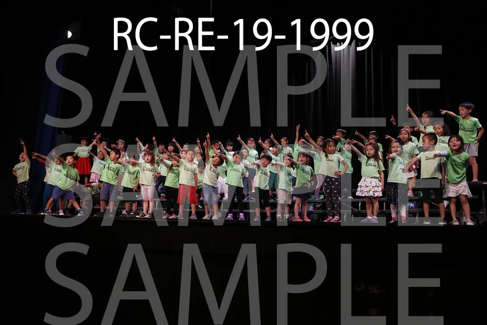 RC-RE-19-1999.jpg