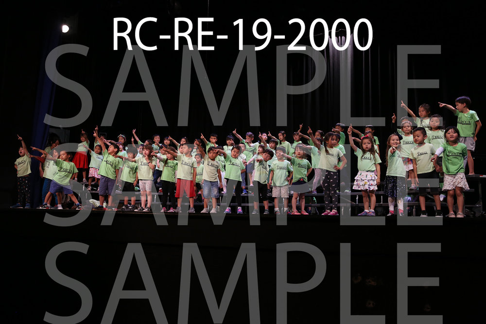 RC-RE-19-2000.jpg