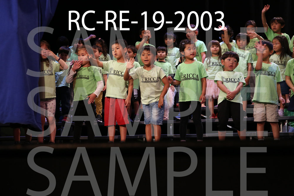RC-RE-19-2003.jpg