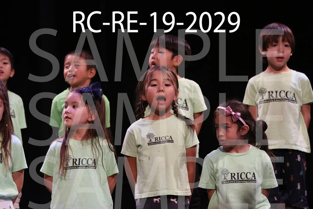 RC-RE-19-2029.jpg