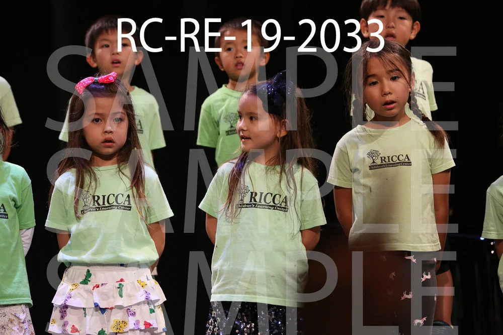 RC-RE-19-2033.jpg