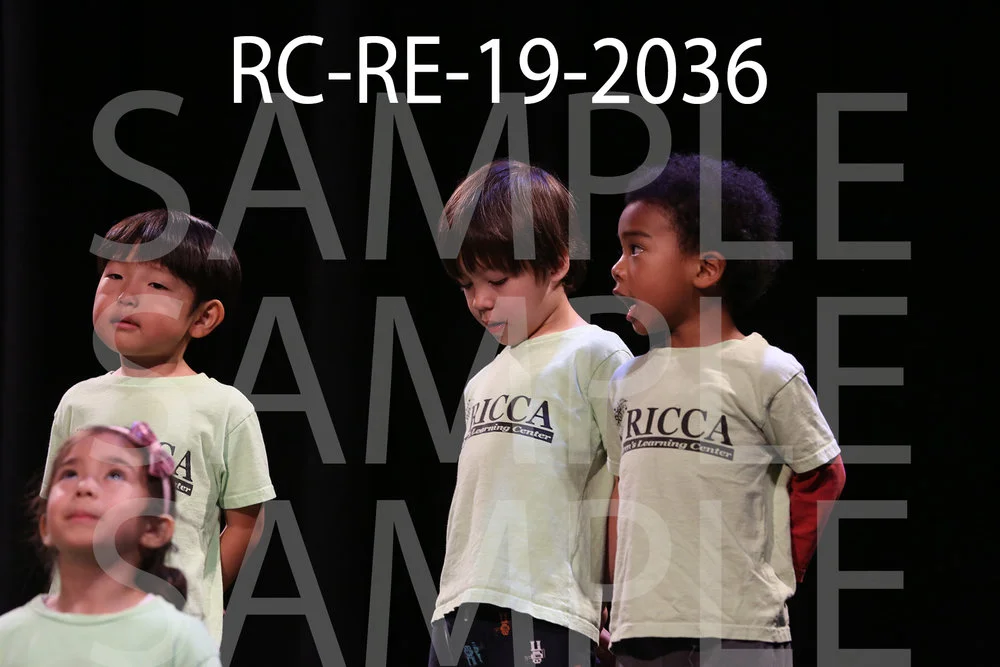 RC-RE-19-2036.jpg
