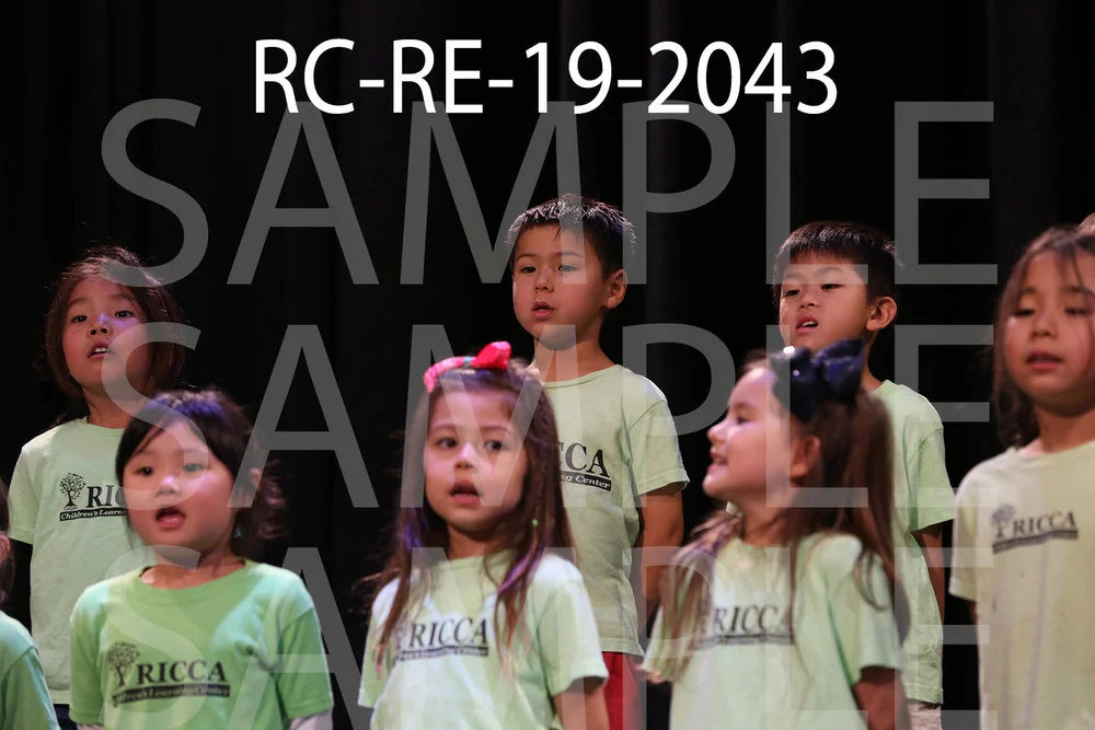 RC-RE-19-2043.jpg