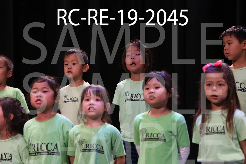 RC-RE-19-2045.jpg
