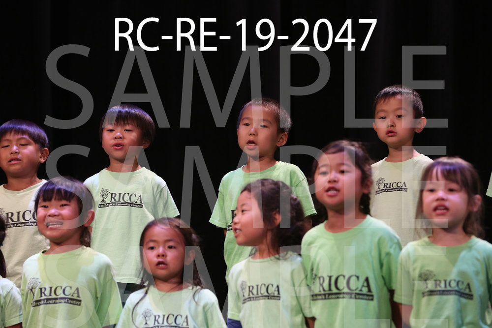 RC-RE-19-2047.jpg