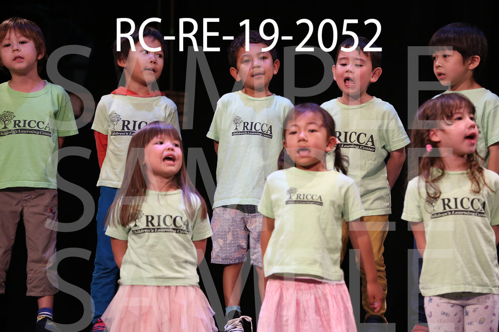 RC-RE-19-2052.jpg