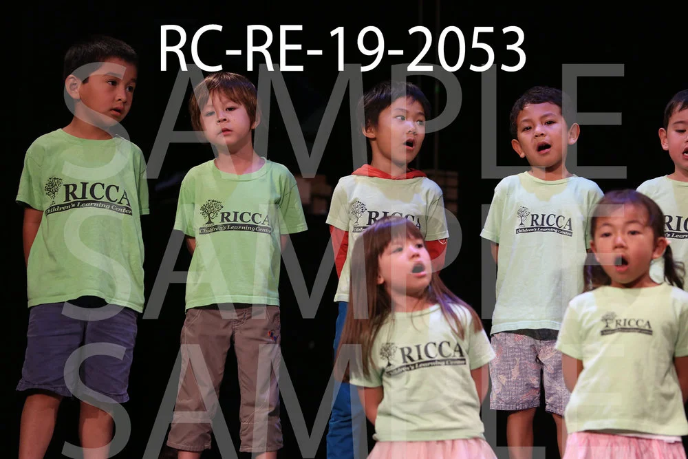 RC-RE-19-2053.jpg