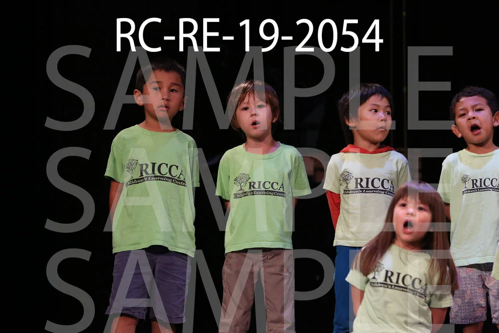 RC-RE-19-2054.jpg