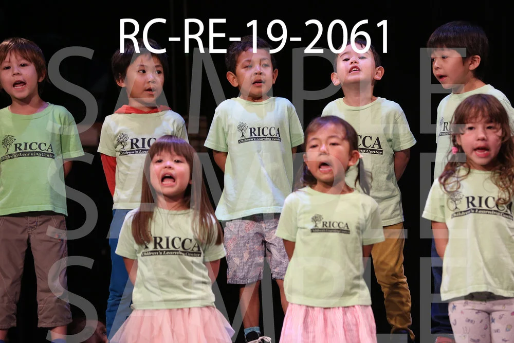 RC-RE-19-2061.jpg