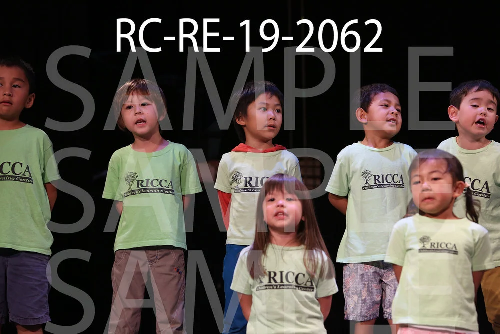 RC-RE-19-2062.jpg