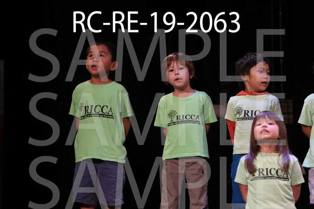 RC-RE-19-2063.jpg
