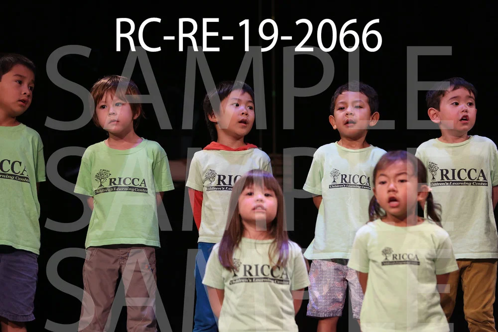 RC-RE-19-2066.jpg