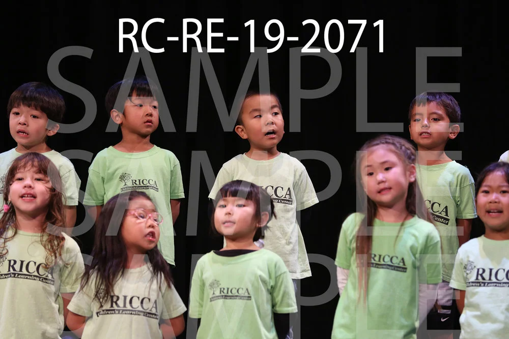 RC-RE-19-2071.jpg