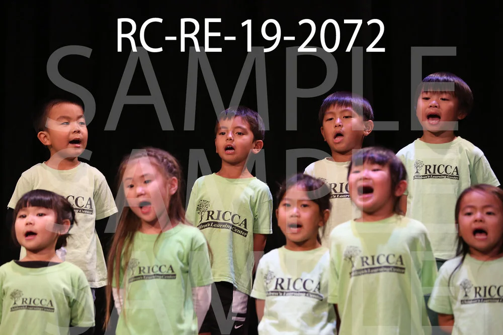 RC-RE-19-2072.jpg