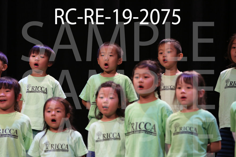 RC-RE-19-2075.jpg