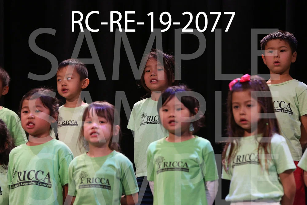 RC-RE-19-2077.jpg