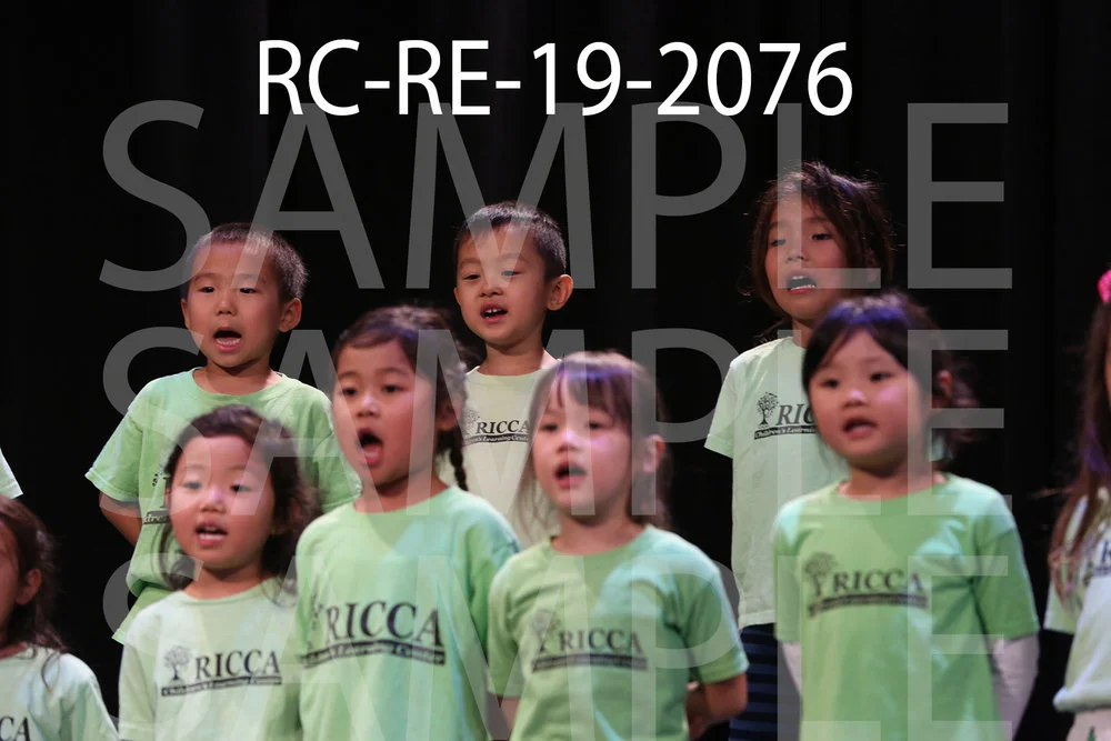 RC-RE-19-2076.jpg