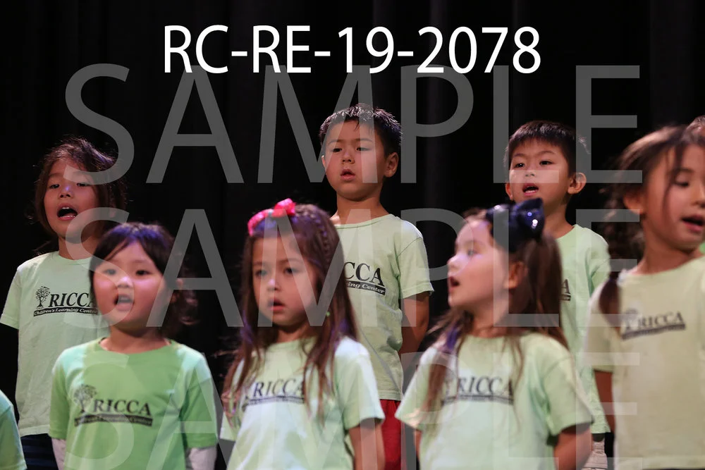 RC-RE-19-2078.jpg