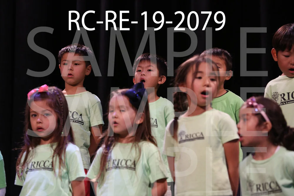 RC-RE-19-2079.jpg