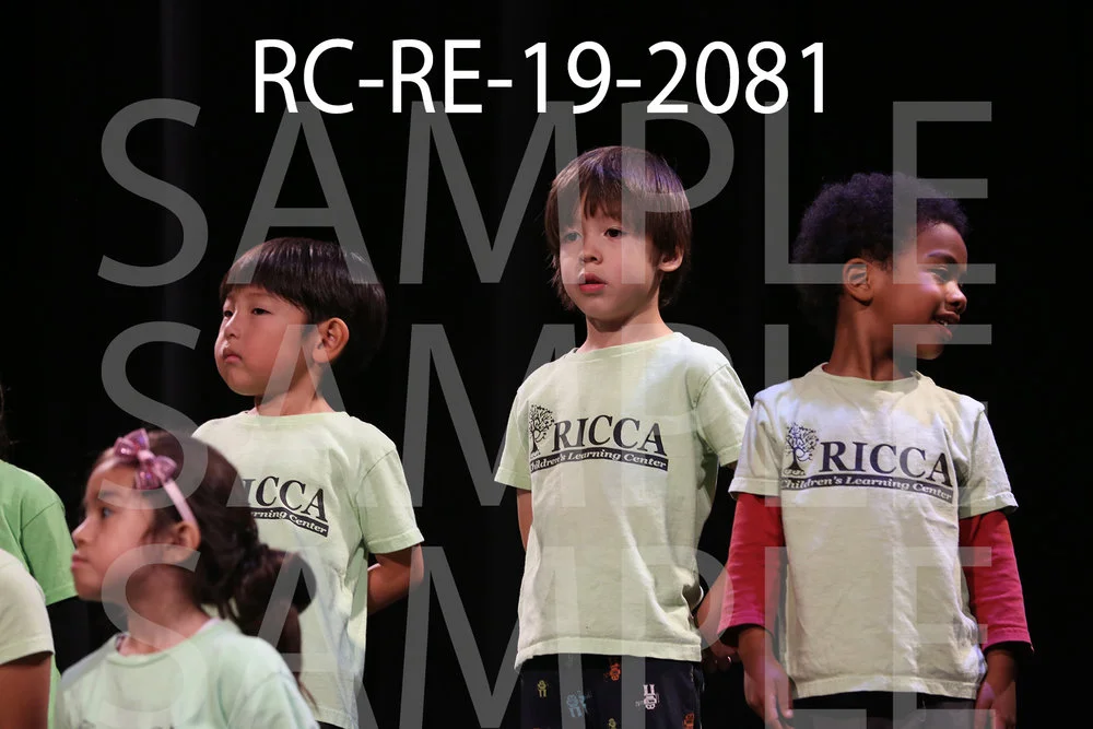 RC-RE-19-2081.jpg
