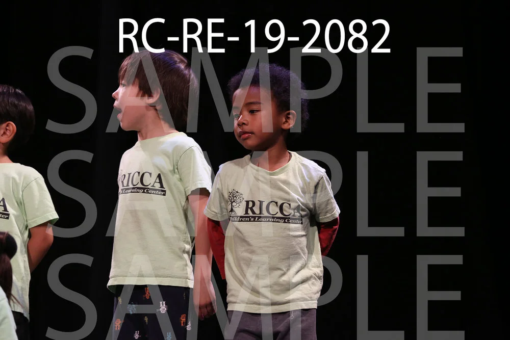 RC-RE-19-2082.jpg