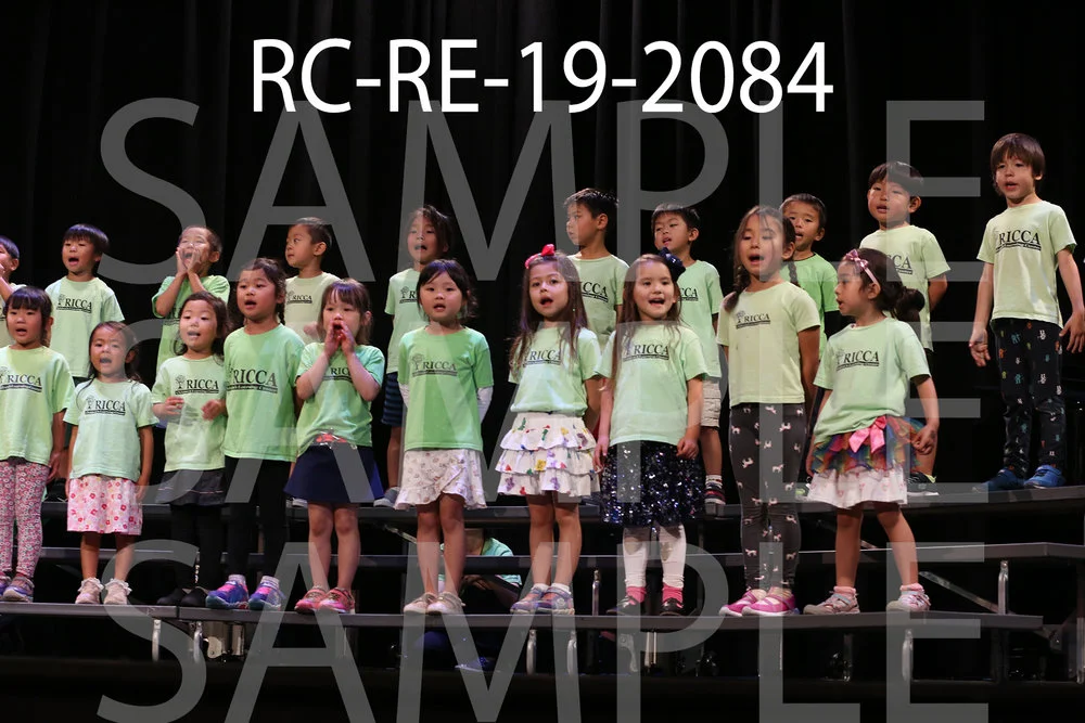RC-RE-19-2084.jpg