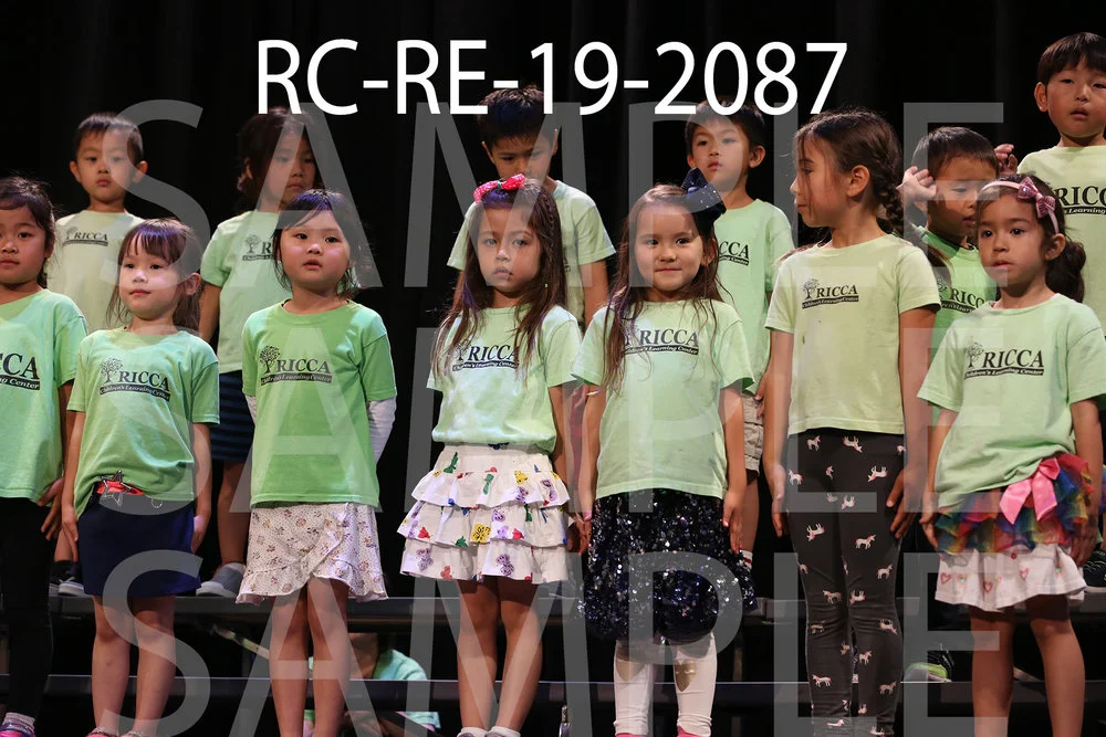 RC-RE-19-2087.jpg