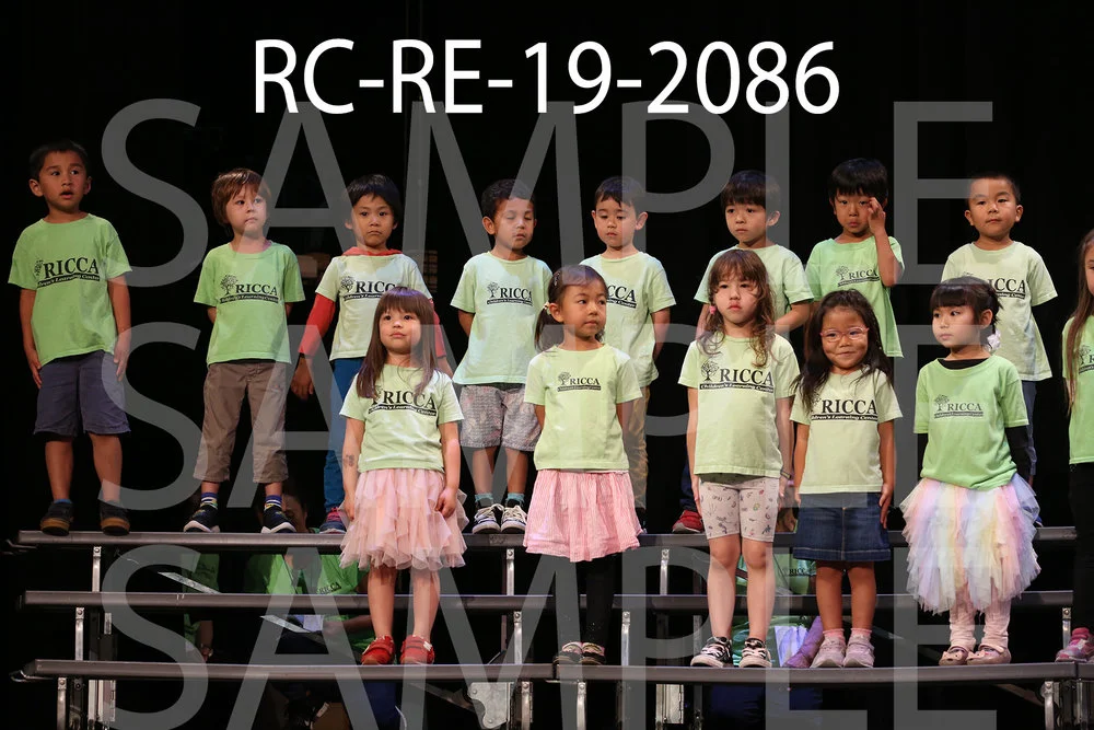RC-RE-19-2086.jpg