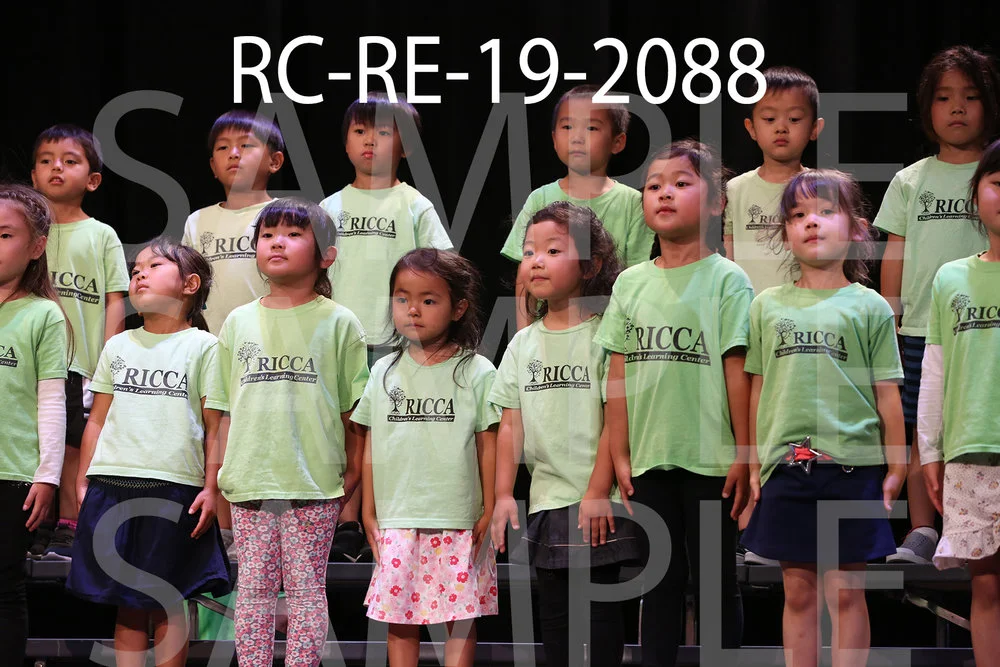 RC-RE-19-2088.jpg