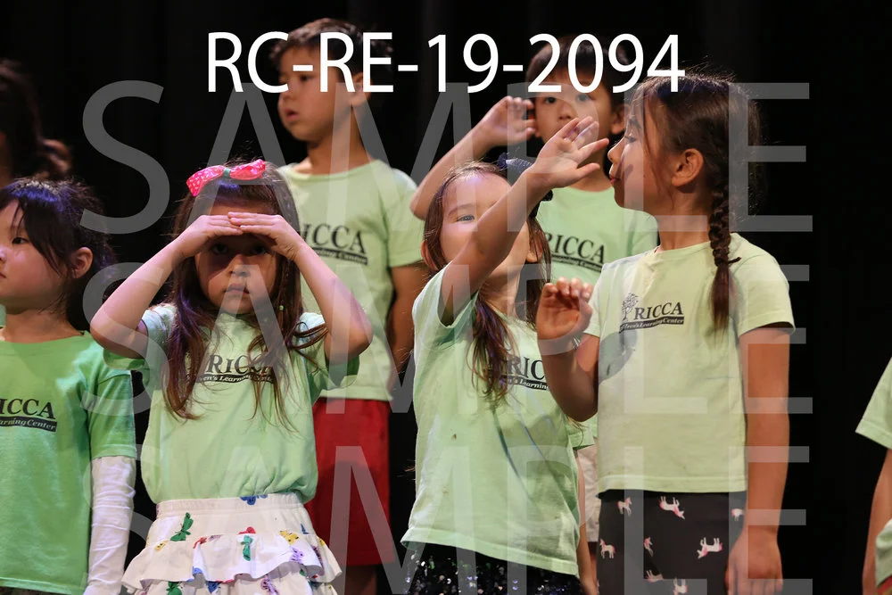 RC-RE-19-2094.jpg