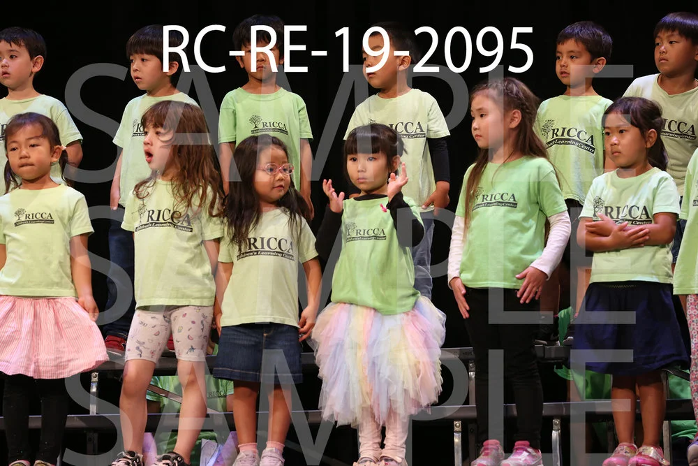 RC-RE-19-2095.jpg
