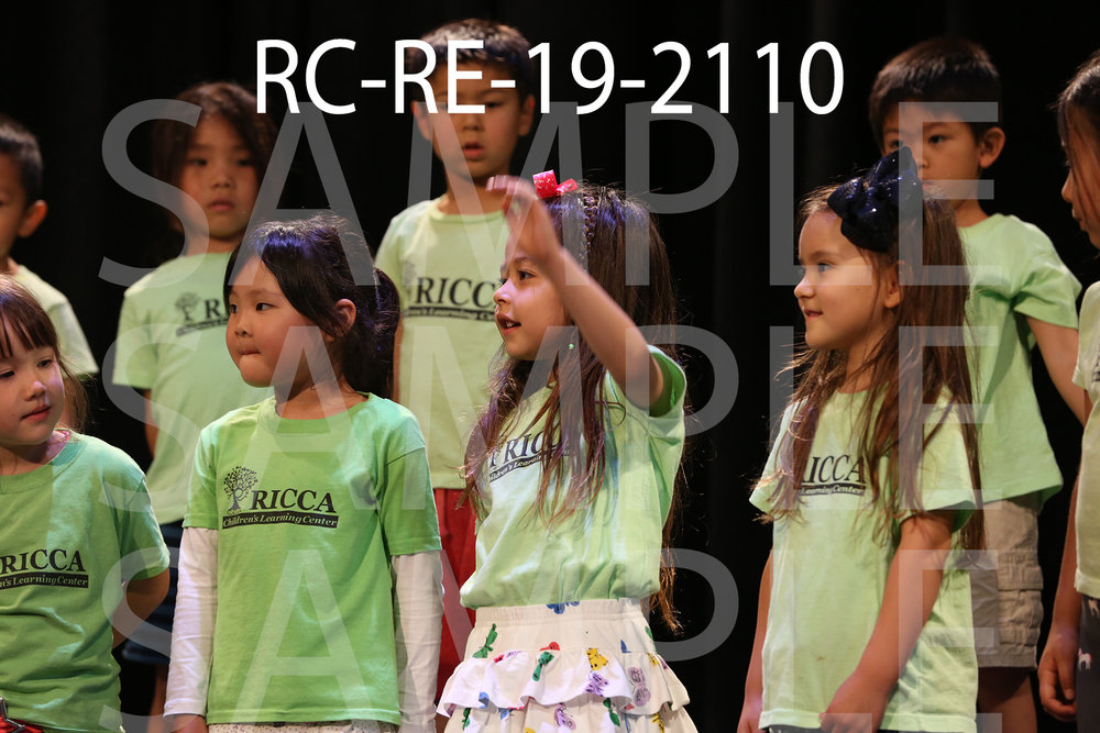 RC-RE-19-2110.jpg