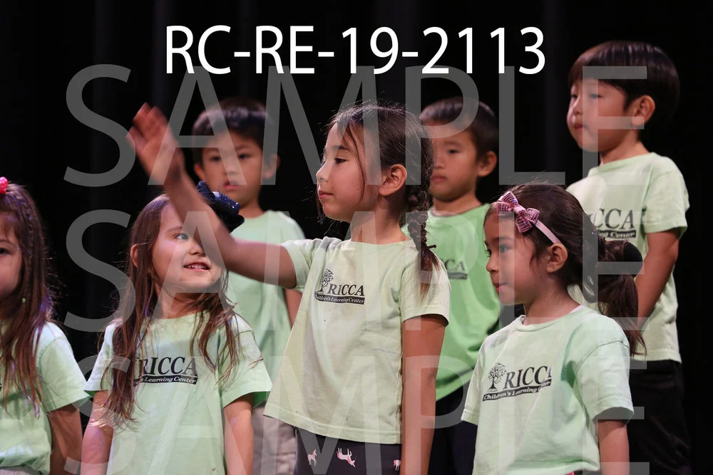 RC-RE-19-2113.jpg