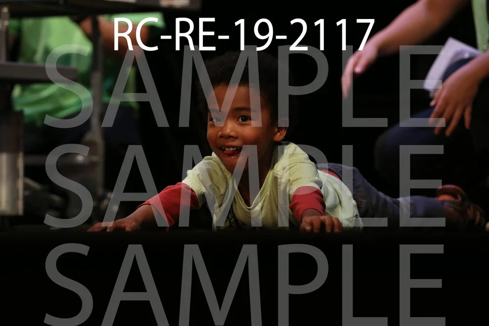 RC-RE-19-2117.jpg