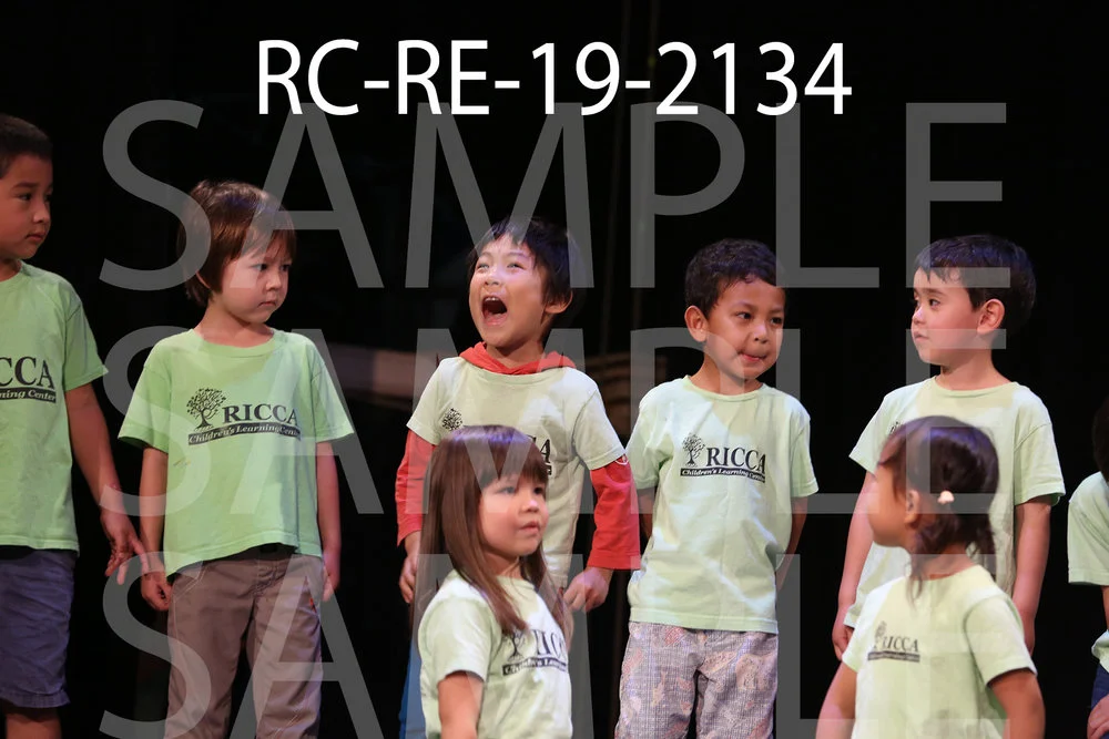 RC-RE-19-2134.jpg