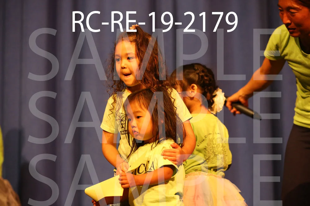 RC-RE-19-2179.jpg