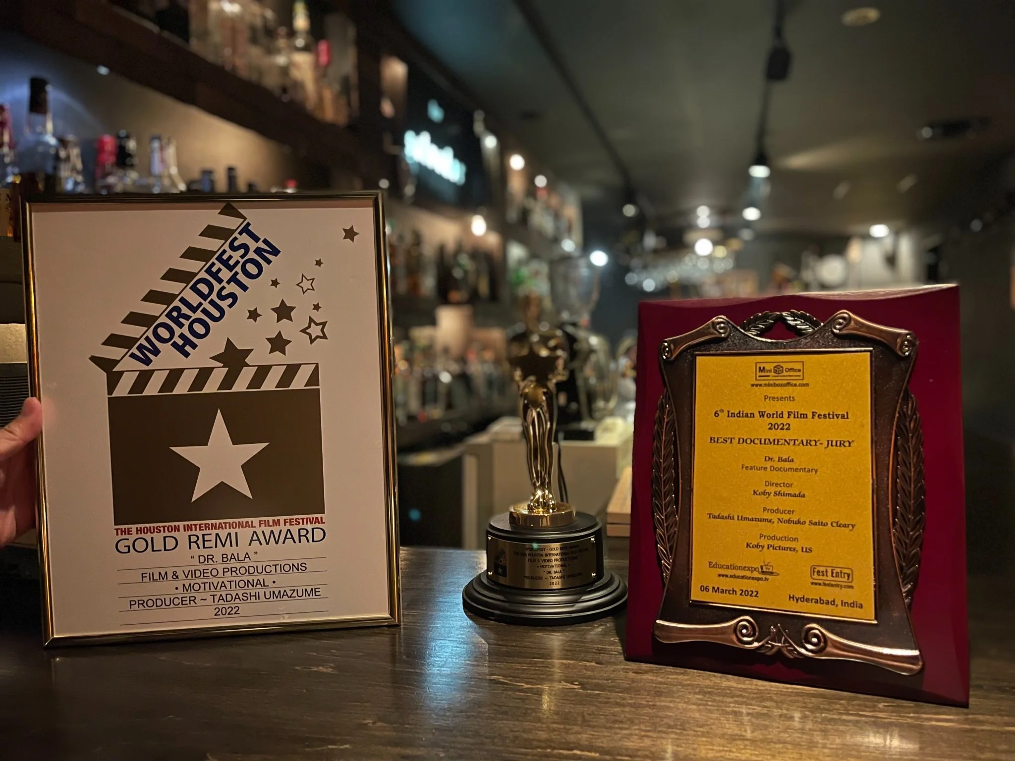 WorldFest Houston&Other Award.jpeg