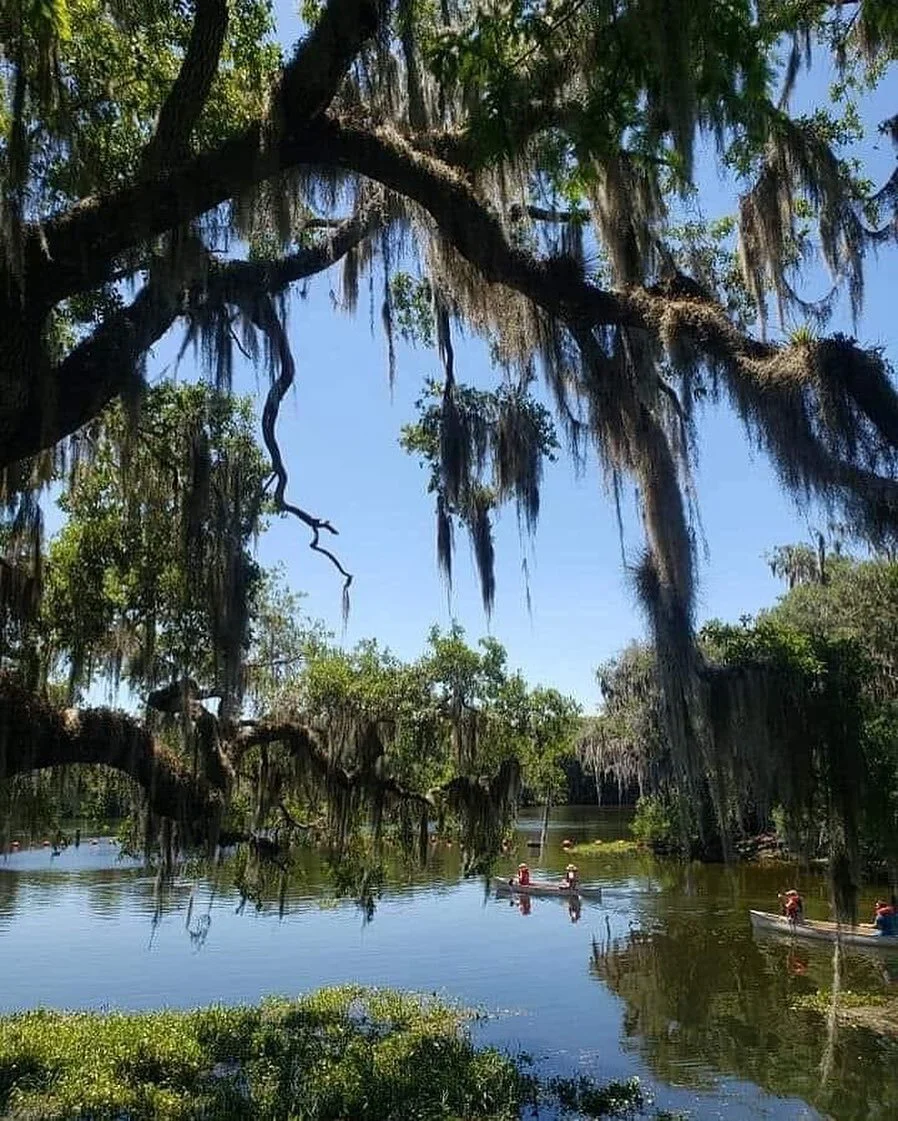 TODAY Nature will have its day in court.

Tune in to the link below at 10:00 a.m. EST to see the latest developments in the first #RightsofNature case in Florida. 
 
LINK IN BIO!
 
Join by phone
+1-904-900-2303 United States Toll (Jacksonville)
+1-40