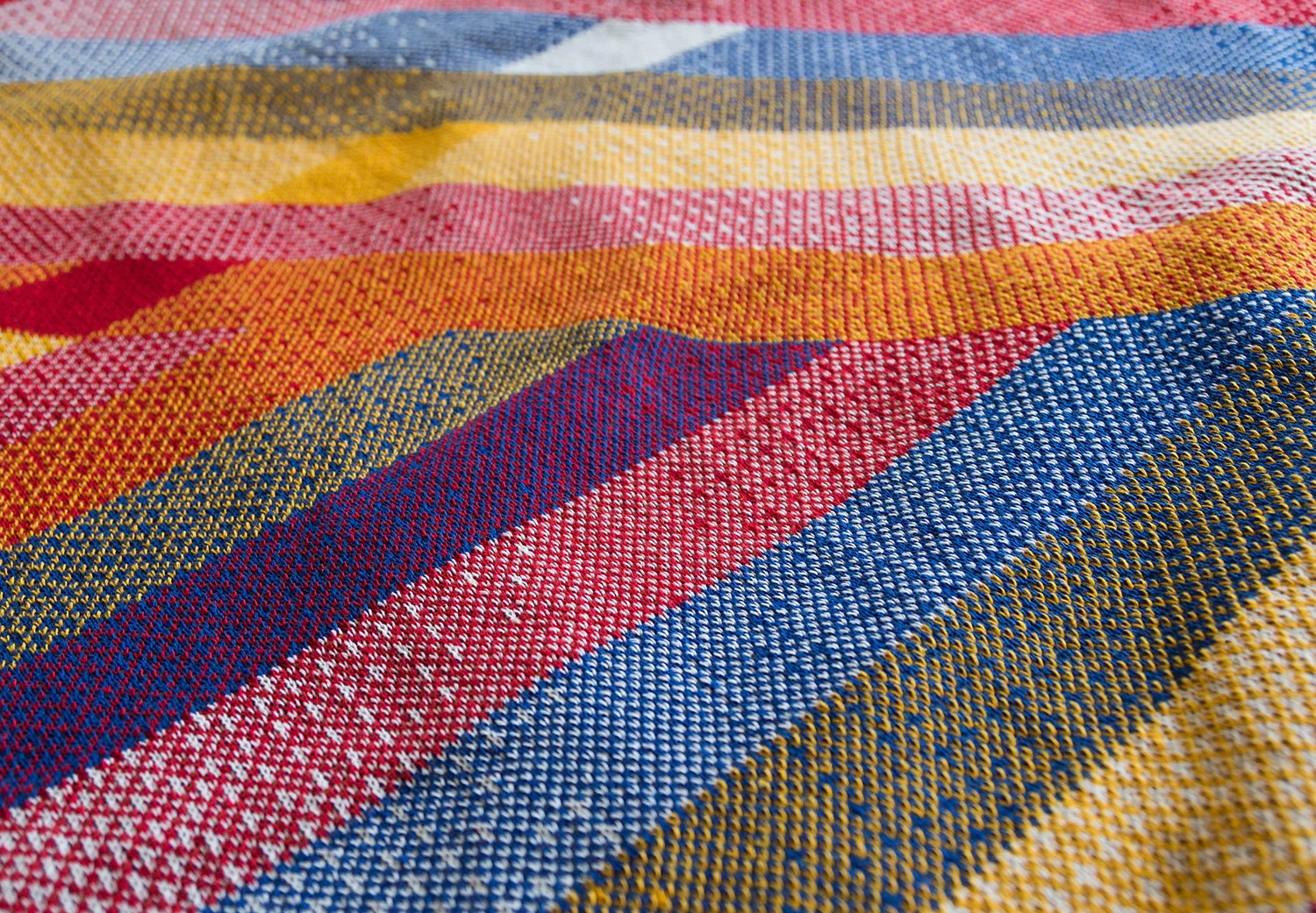 stripey_G67C4455.jpg