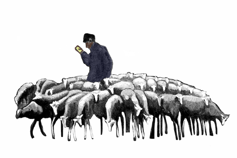 "Shepherd And His Flock" Painting by Chris Blake Chappell